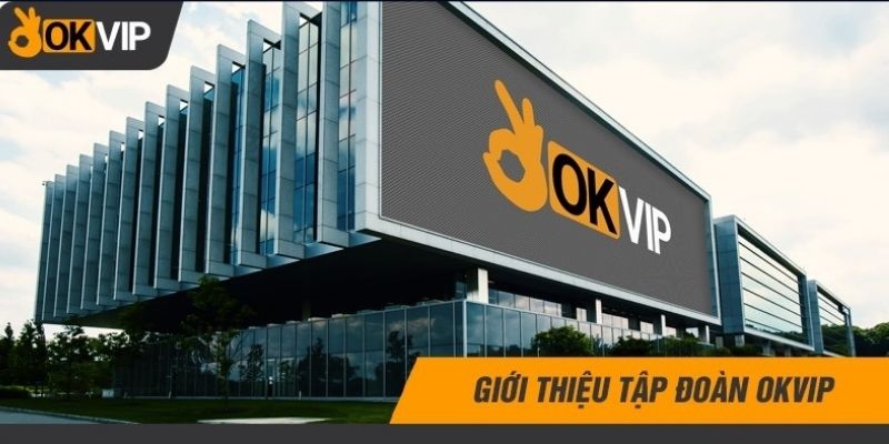 Tìm hiểu về OKVIP - tập đoàn giải trí truyền thông về cá cược trực tuyến-1