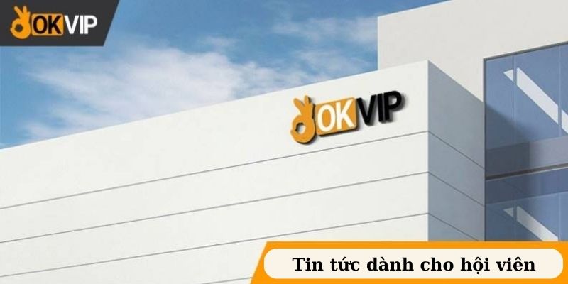 Tìm hiểu về OKVIP - tập đoàn giải trí truyền thông về cá cược trực tuyến-5